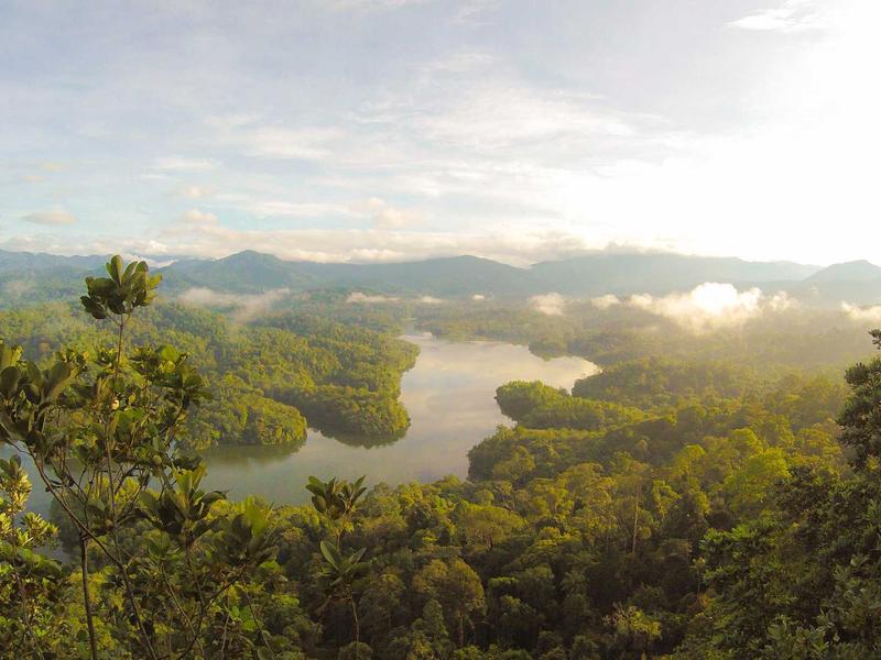 身体记忆<br>bcxjjkz.cn 肌肉酸痛叙事